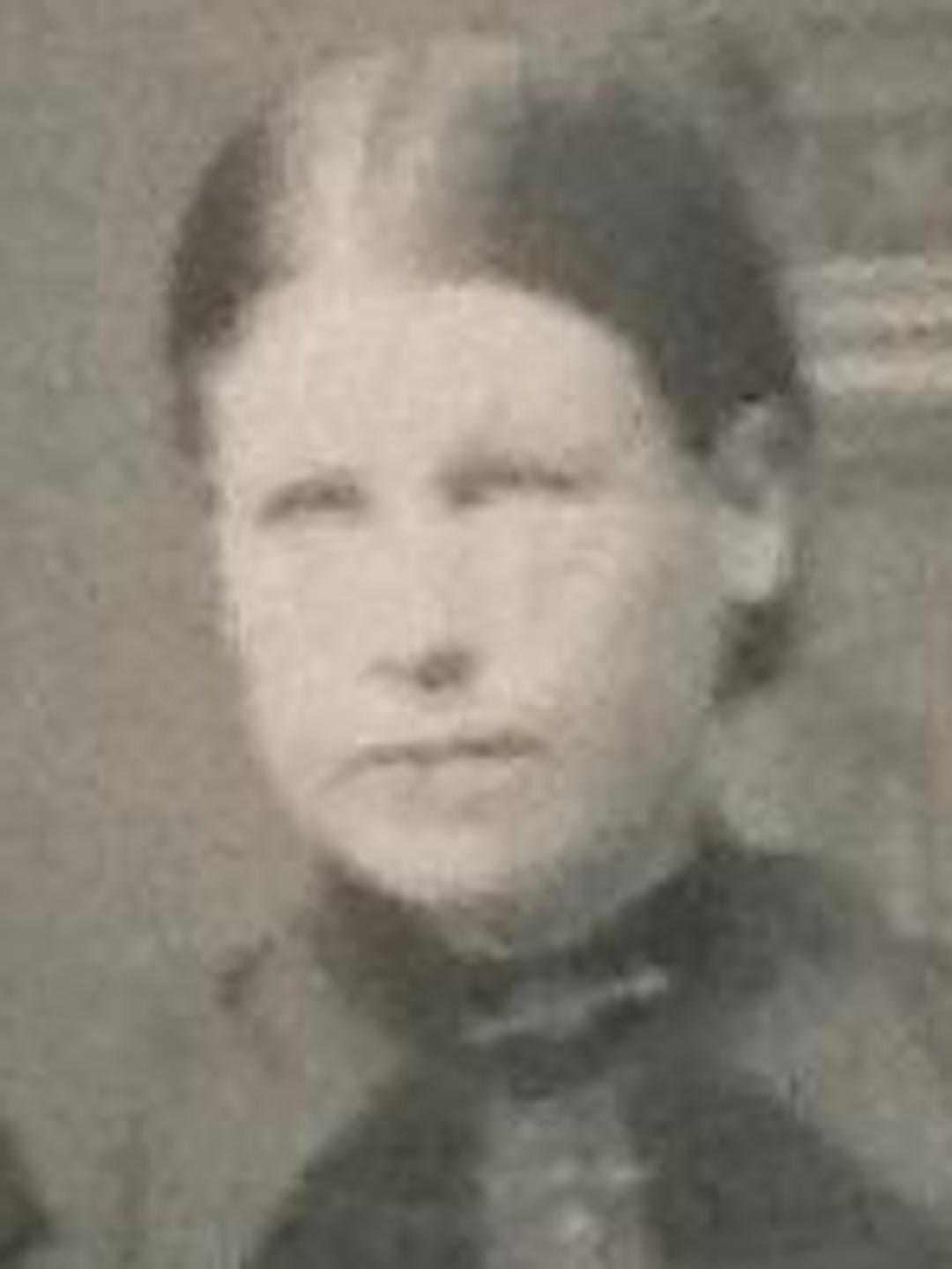 Emily Plant (1868 - 1938) Profile